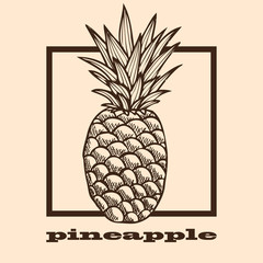 hand drawn pineapple