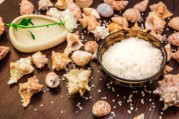 Shell background abstract spa, sea salt, flower