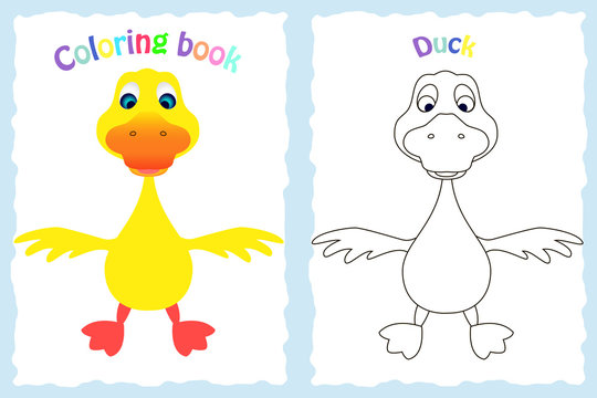 Coloring book page for preschool children with colorful duck and sketch to color