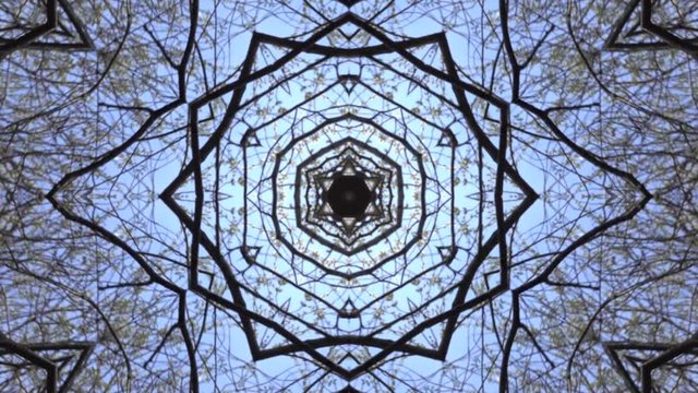 Wonderful abstract kaleidoscopic pattern with willow blossom branches in hex structure on blue sky. Excellent animated spring floral background in stunning full HD. Adorable visuals for amazing intro