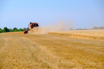 Harvester gathers the wheat crop in a field