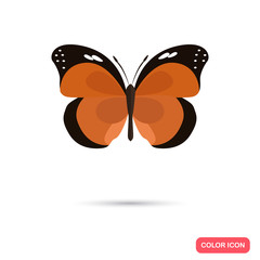 Color butterfly flat icon