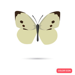 Color butterfly flat icon