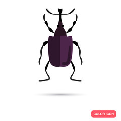 Color flat beetle icon