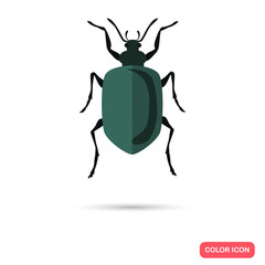 Color flat beetle icon
