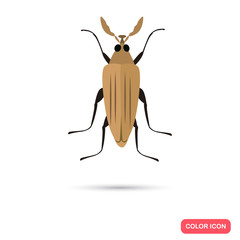 Color flat beetle icon