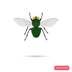 Color fly flat icon