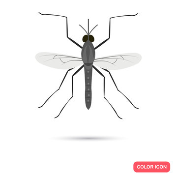 Color flat mosquito icon