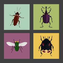 Set of four color flat insects icons