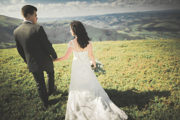 Young wedding couple in love holding hands on the background of mountains