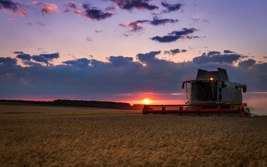 Obraz premium Working Harvesting Combine in the Field of Wheat