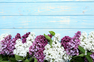 Blooming lilac flowers on a blue wooden table