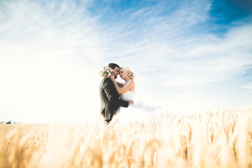 Elegant stylish happy blonde bride and gorgeous groom posing in wheat field on the background blue sky