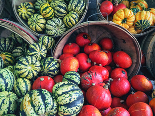 Variety of colorful squashes at the market