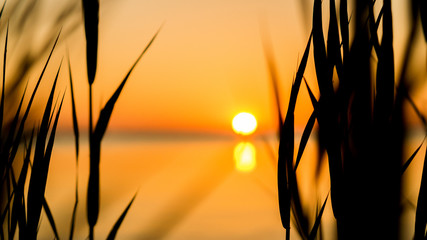 Sonnenuntergang im Ijsselmeer 