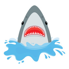 Fototapeta premium shark with open mouth.