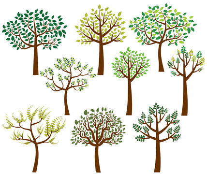 Vector collection of stylized tree silhouettes with green leaves