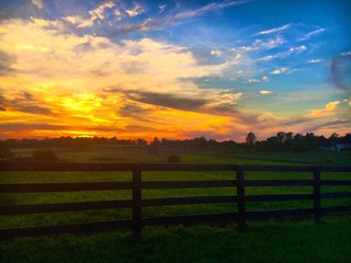 Fototapeta premium kentucky evening