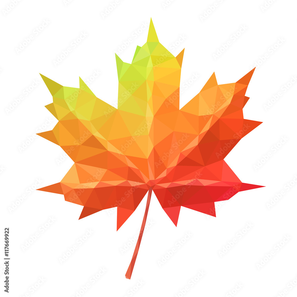 Wall mural low poly vector maple leaf geometric pattern