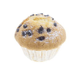 chocolate chip muffin isolated on white background