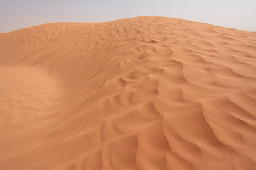 desert with lines on the sand 3