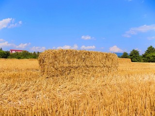 Fototapeta premium Hay bale on field after harvest