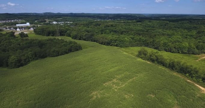 A high angle aerial view over corn fields on a Western Pennsylvania farm.  	