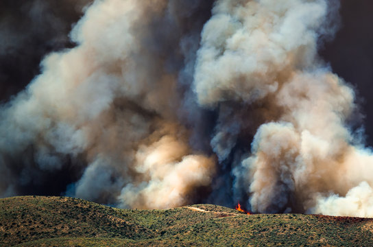 Flames and Dense White Smoke Rising from the Raging Wildfire