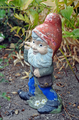 Old garden gnome