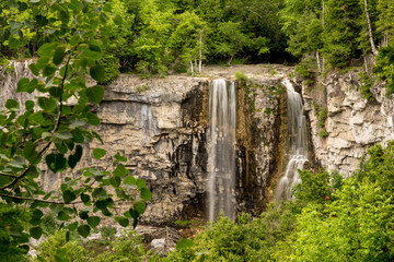 Fototapeta premium Eugenia falls