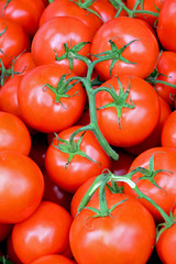 Red vine tomatoes