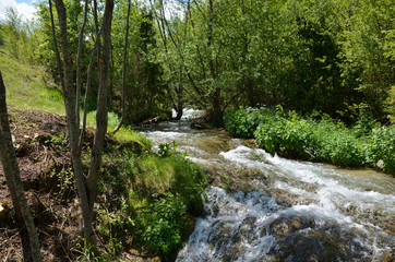 Fast mountain river with rapids, runs through the woods