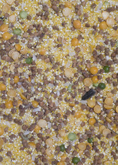 Buckwheat, rice, corn, pea, wheat: mixture of different kind of cereals. Could be used as a background.
