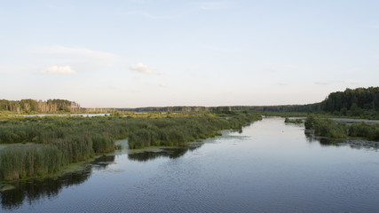 Fototapeta premium River in the evening. Beautiful landscape.