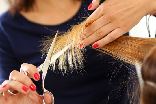 Female hairdresser hold in hand lock of hair