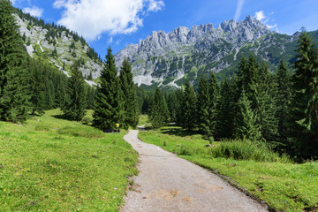 Fototapeta premium Hiking path through summer mountain landscape. Wild Kaiser cain or Wilder Kaiser, Austria, Tyrol.