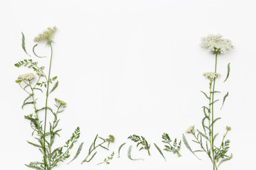 Wild flowers on white background. Top view, flat lay