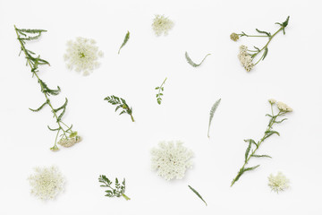 Wild flowers on white background. Top view, flat lay - 117678948