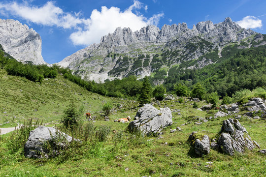 Idyllic mountain landscape in the austrian alps. Wilder Kaiser, Tyrol.