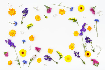 Flowers on white background. Top view, flat lay - 117679561
