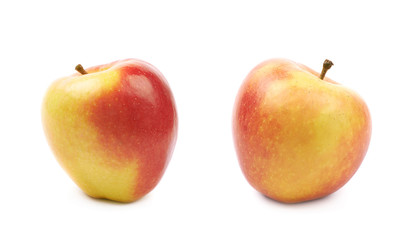 Ripe red and golden jonagold apple