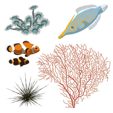 Marine life. The corals, sea urchins and fish. You can use all together or each separately as your wish.