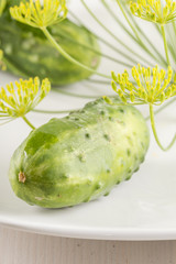 plate of of cucumbers