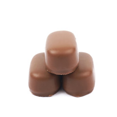 Chocolate coated toffee candy isolated