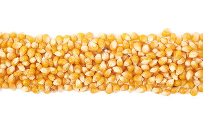 Line pile of corn kernels isolated