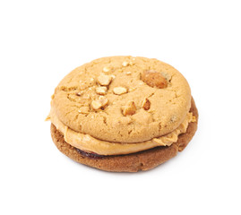 Peanut butter homemade cookie isolated