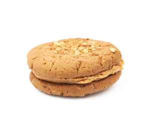 Peanut butter homemade cookie isolated
