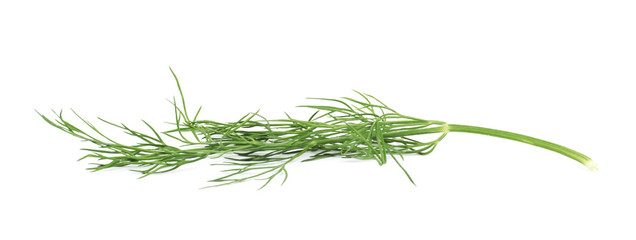 Dill herb isolated