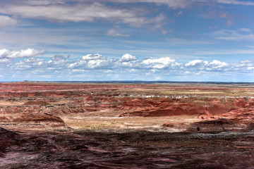 Tawa Point - Petrified Forest National Park