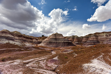Blue Mesa - Petrified Forest National Park